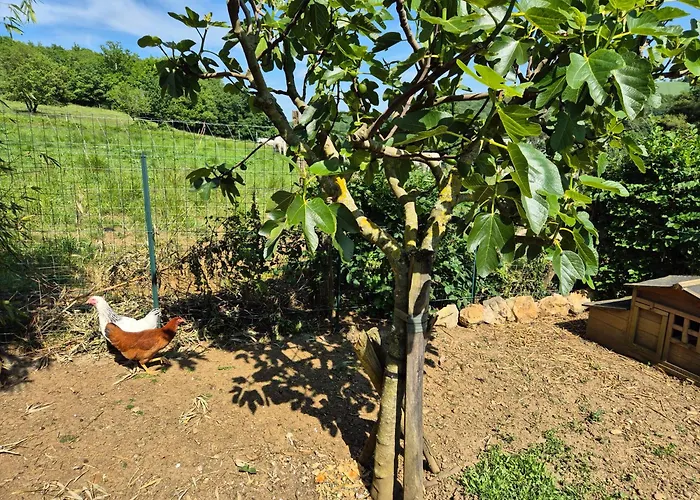 Charmante Au Coeur Du Comminges Apartman *