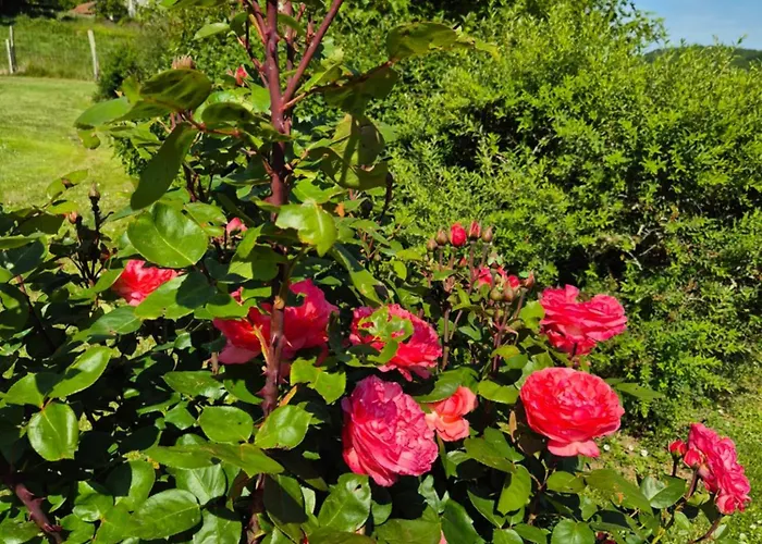 Charmante Au Coeur Du Comminges * Nizan-sur-Gesse